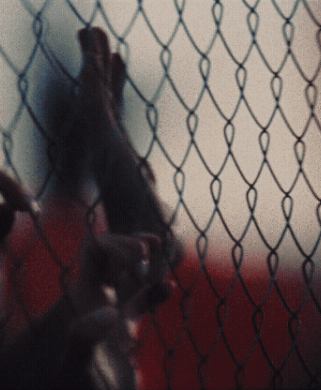 Sport, seen from the other side of the fence